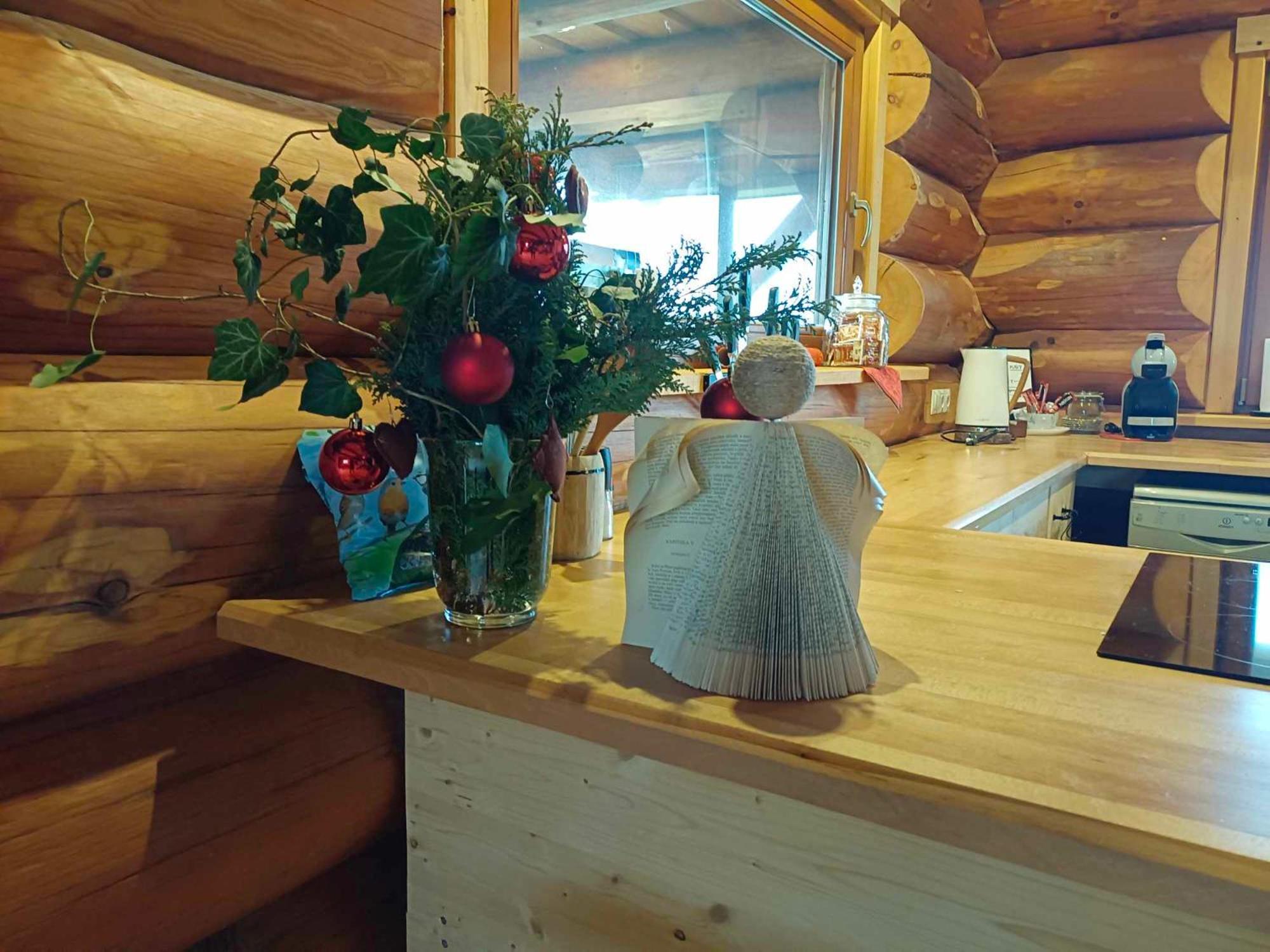 Wellness Srub U Holubu Casa vacanze